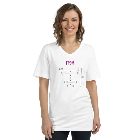 Футболка с логотипом и формулой Грэма с v-образным вырезом, унисекс